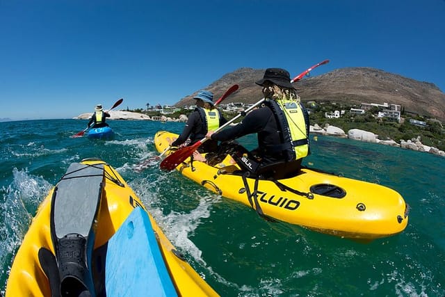 Full Day Private Sea Kayaking & Cape Point - Photo 1 of 10